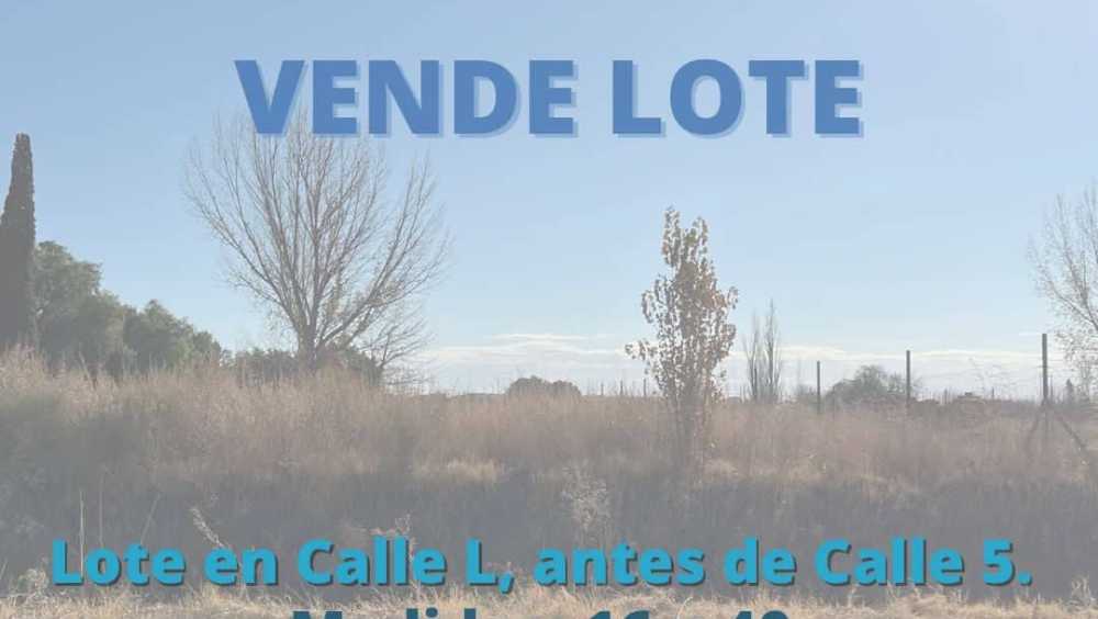 Calle L, General Alvear