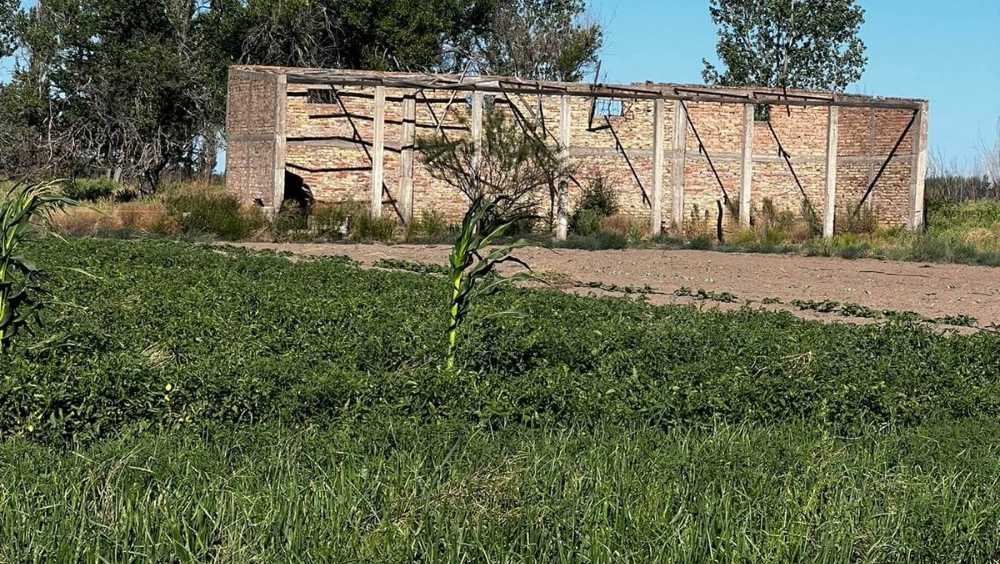 FINCA EN VENTA. Calle Antártida Argentina, Real Del Padre. - Imagen 3