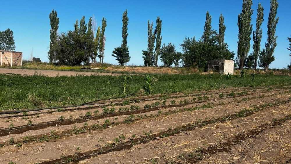 FINCA EN VENTA. Calle Antártida Argentina, Real Del Padre. - Imagen 4