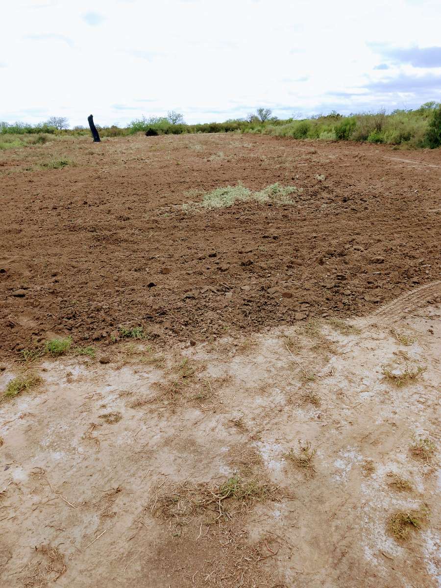 Vendo Campo Con Casa Escriturado - Campo en Venta en Anatuya con Mixto y 50 ha - imagen 8