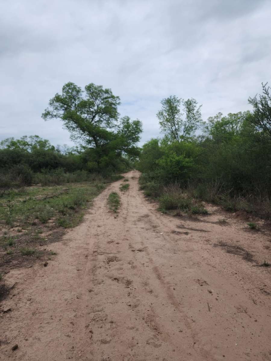 920 ha, sobre RN 64. - Imagen 2