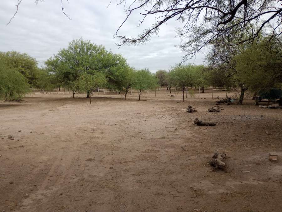 Campo ganadero tranquera cerrada (Córdoba) - Imagen 5