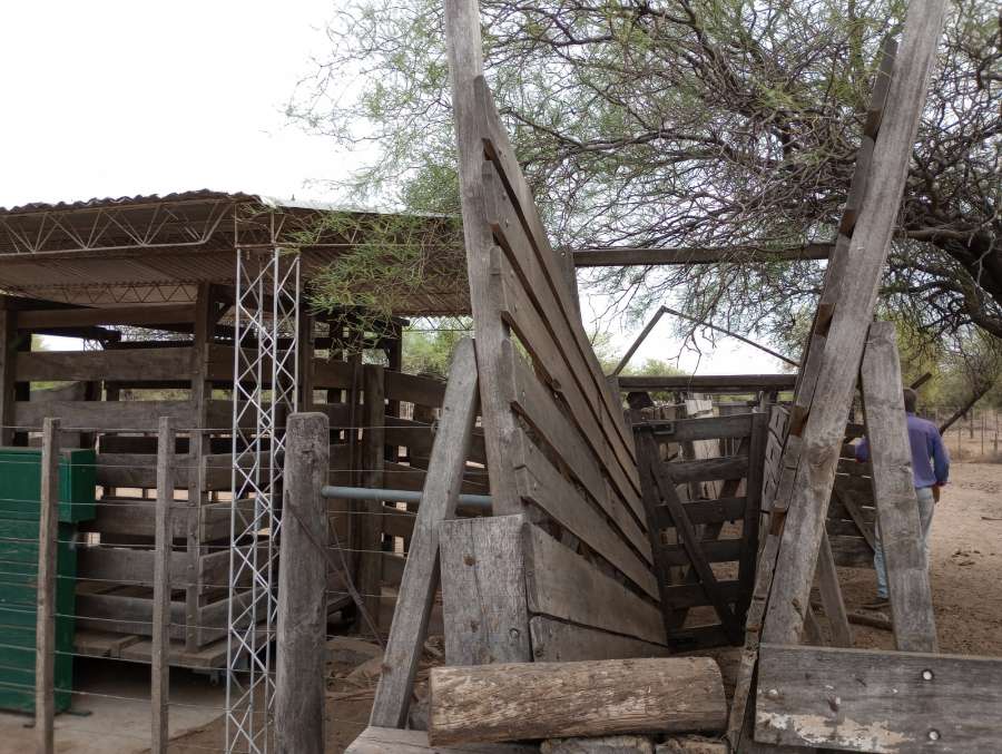 Campo Ganadero Tranquera Cerrada (crdoba) - Campo en Venta en Cruz del Eje con Ganadero y 1.200 ha - imagen 11