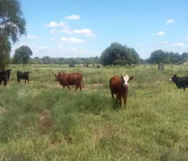 Tu próximo Campo en Venta en Cruz del Eje · dueño directo · 1,2 ha - Imagen 1