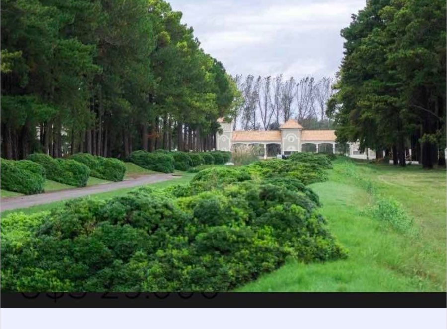 Lote en country pinares - Imagen 1