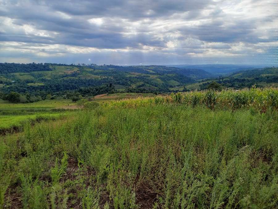 Campo en Venta en El Soberbio con · dueño directo · 8 ha - Imagen 4