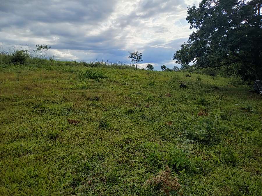 Venta Hacra En Produccin...buena Tierra Frtil, Buena Agua De Vertiente Apta Tajamar. Luz . - Campo en Venta en El Soberbio con 8 ha - imagen 9