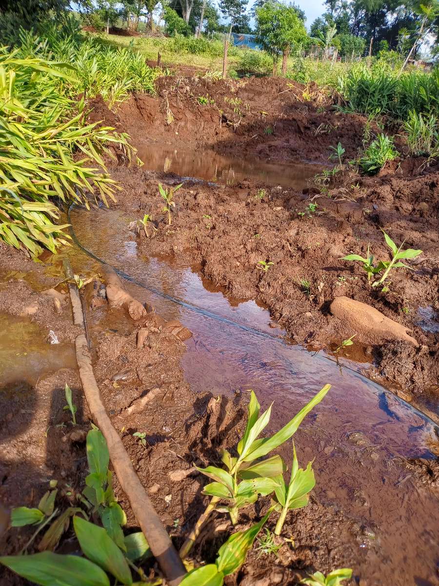 Venta Hacra En Produccin...buena Tierra Frtil, Buena Agua De Vertiente Apta Tajamar. Luz . - Campo en Venta en El Soberbio con 8 ha - imagen 10