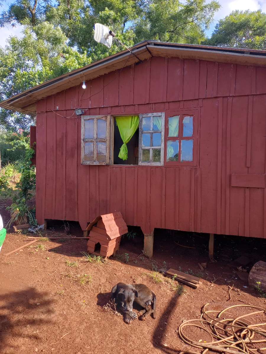 Venta Hacra En Produccin...buena Tierra Frtil, Buena Agua De Vertiente Apta Tajamar. Luz . - Campo en Venta en El Soberbio con 8 ha - imagen 13