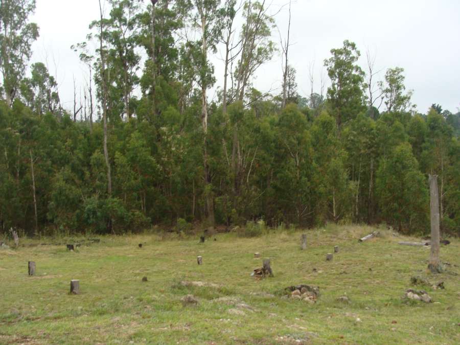 Casas en Villa Yacanto - Imagen 4