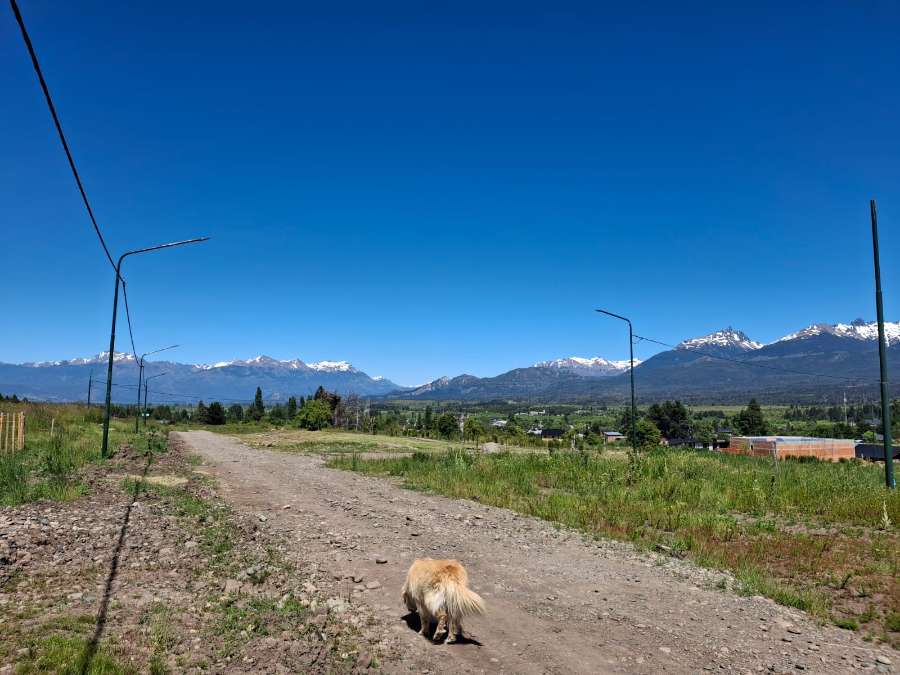 Campo en Venta en Trevelin · frente 18,7 m · largo 24,5 m · 460 m² de lote · dueño directo - Imagen 4