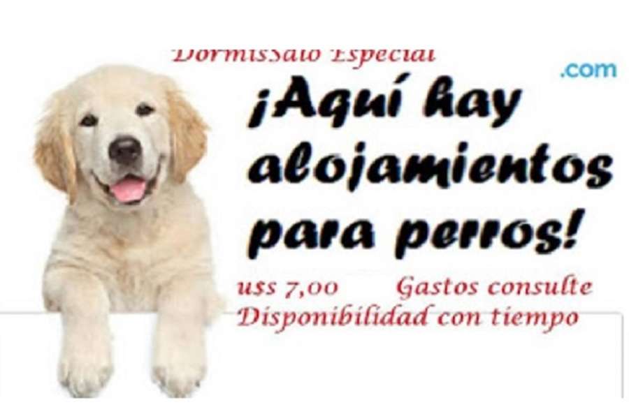 Alquilo Depto-ECONOMICO P/DIA $ 15.000 POR PERSONA CON BAÑO Diretv.a 100 metros de ypf las chacras - Imagen 5
