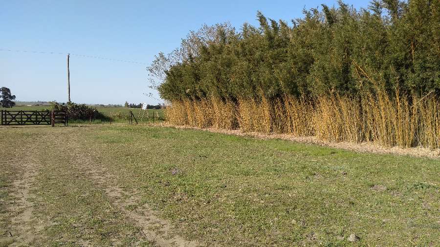 Campo en Victoria: en Venta · dueño directo · 3 ha - Imagen 2