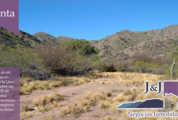Campo en Venta en San Luis con 60 ha - Imagen 2
