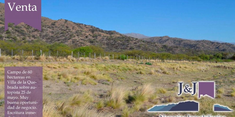 Campo en Venta en San Luis con Agrícola y 60 ha - imagen 3