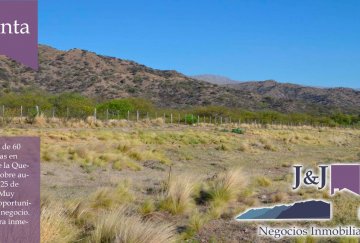 Campo en Venta en San Luis con 60 ha - Imagen 3
