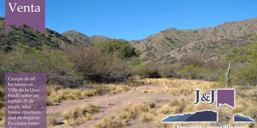 Campo en Venta en San Luis con Agrícola y 60 ha - imagen 2