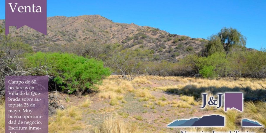 Campo en Venta en San Luis con Agrícola y 60 ha - imagen 1