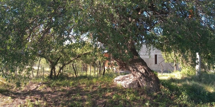 Terreno en Venta en Mina Clavero con 1.400 m2 de terreno - imagen 9