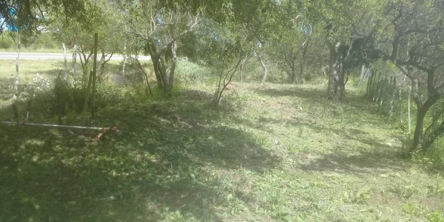 Terreno en Venta en Mina Clavero con 1.400 m2 de terreno - imagen 6