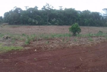 En San Vicente, Campo en Venta · dueño directo · 4 ha - Imagen 2