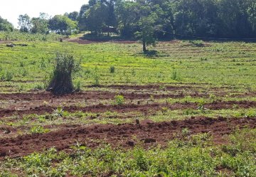 Campo en Venta en San Vicente con 4 ha - Imagen 5