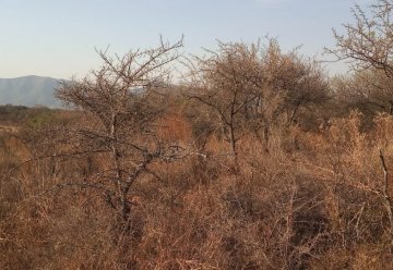 Terreno en Venta en Santa Rosa de Calamuchita con 750 m² de lote - Imagen 3