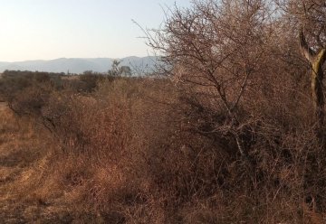 Terreno en Venta en Santa Rosa de Calamuchita con 750 m² de lote - Imagen 4