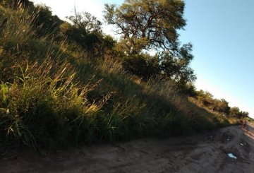 EXCEPCIONAL OPORTUNIDAD VENTA LOTE DE 7600 M2 EN PANALHOLMA (Opcion Total o Fraccionado) - Imagen 2