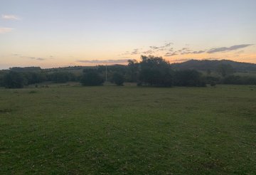 Campo en Venta Marmaraja, Uruguay - Imagen 7