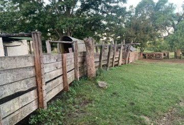 Campo en Venta en Uruguay con 500 ha - Imagen 1