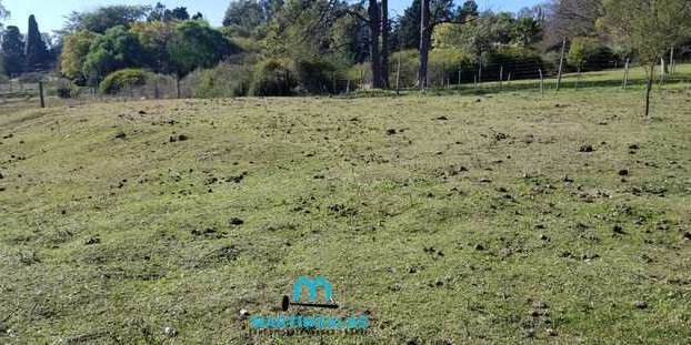 Terreno en Venta en Victoria con 3.148 m2 de terreno - imagen 4