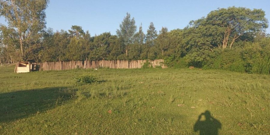 Terreno en Venta en Victoria con 3.148 m2 de terreno - imagen 5