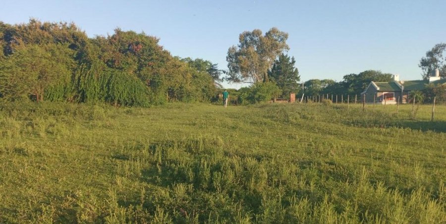 Terreno en Venta en Victoria con 3.148 m2 de terreno - imagen 6