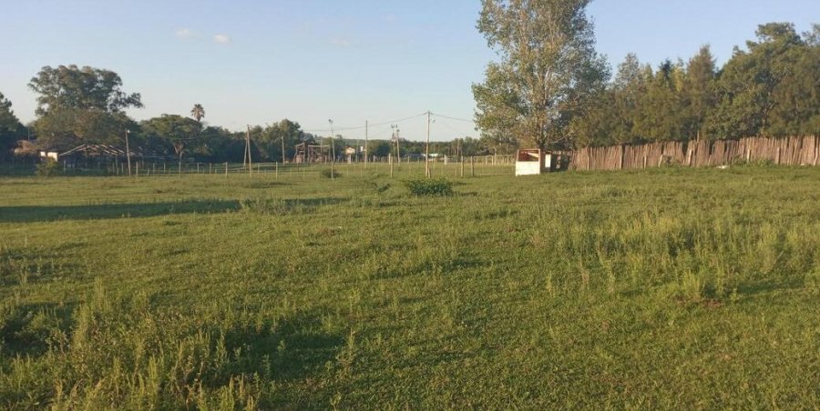 Terreno en Venta en Victoria con 3.148 m2 de terreno - imagen 7