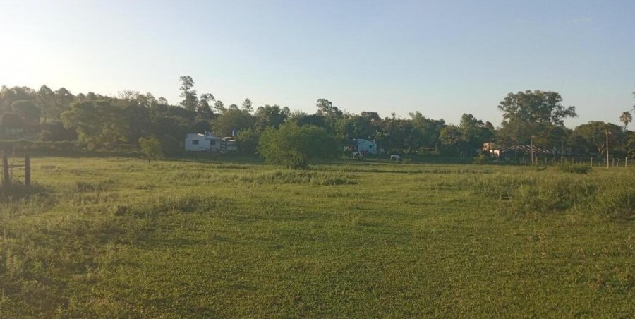 Terreno en Venta en Victoria con 3.148 m2 de terreno - imagen 10