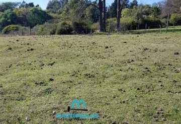Terreno en Venta en Victoria con 3.148 m² de lote - Imagen 4