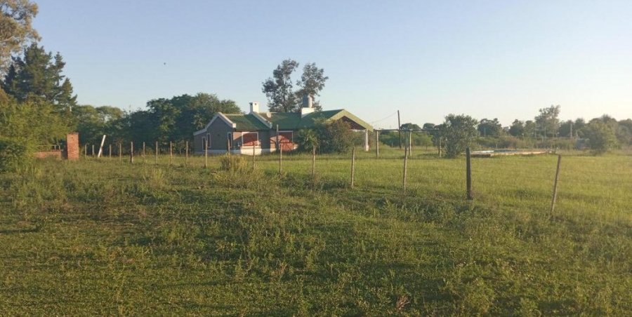 Terreno en Venta en Victoria con 3.148 m2 de terreno - imagen 8