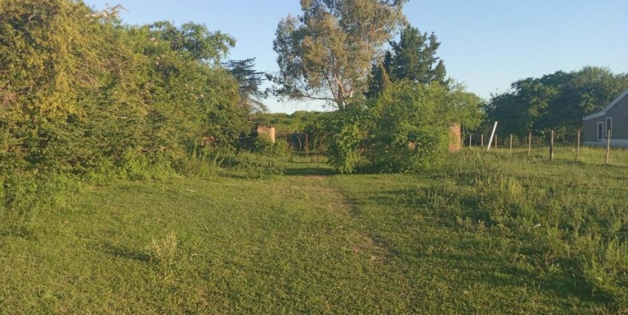 Terreno en Venta en Victoria con 3.148 m2 de terreno - imagen 9