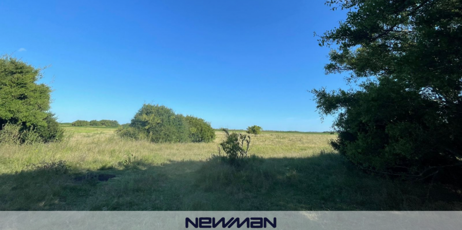 Campo Mixto De 930 Has En Gral. Madariaga - Campo en Venta en General Arenales con Mixto y 930 ha - imagen 5