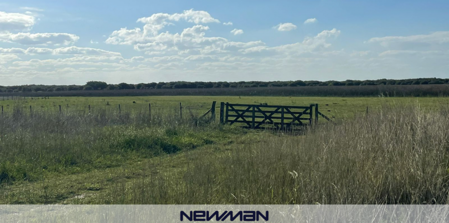 Campo Mixto De 930 Has En Gral. Madariaga - Campo en Venta en General Arenales con Mixto y 930 ha - imagen 2