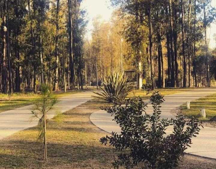 LIQUIDO LOTE CAMPO TIMBO DE 530 MT $17500 - Imagen 4