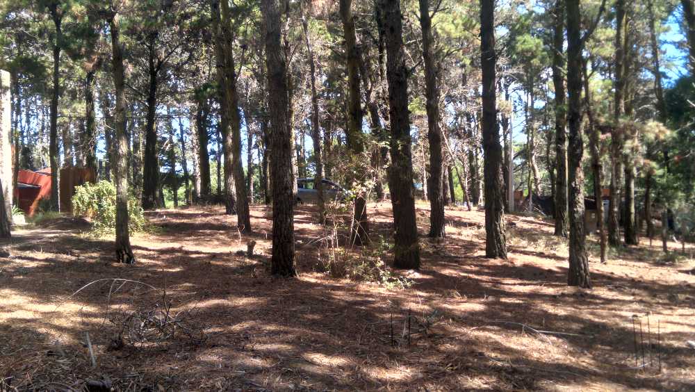 VENDO TERRENO EN MAR DE LAS PAMPAS - NO PERMUTO - Imagen 2
