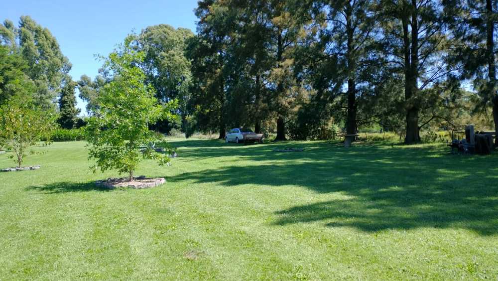 Campo Sobre Dique Cerca Del Centro, Ideal Turismo - Campo en Venta en Olavarría con 1 ha - imagen 6