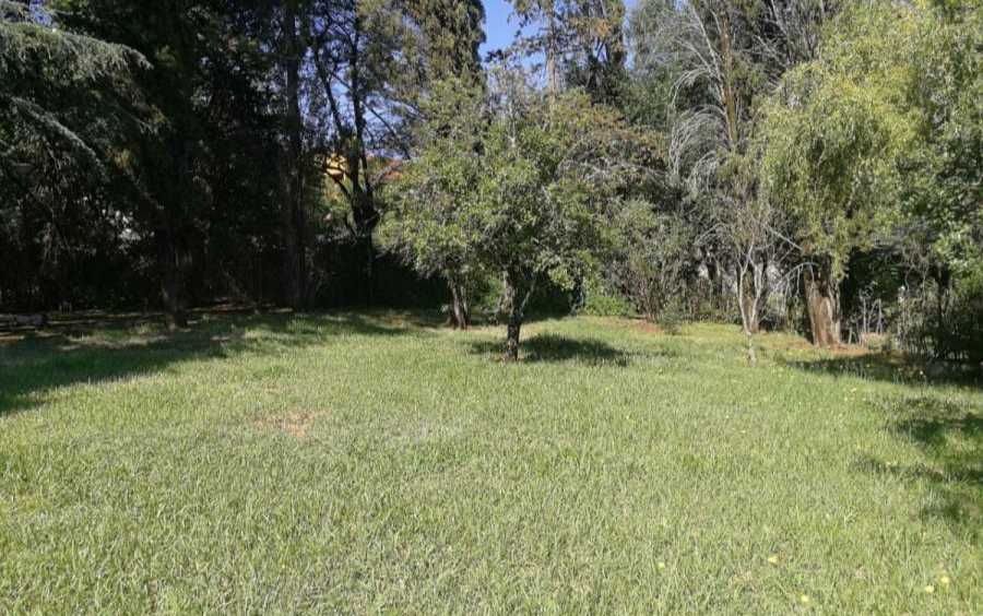SE VENDE CASA A REFACCIONAR MAS 4 TERRENOS CON SALIDA AL ARROYO EN TANTI - Imagen 3