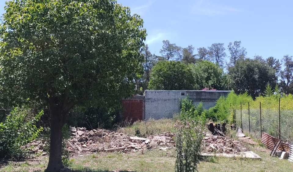 Int Corvalan 1626, Paso del Rey