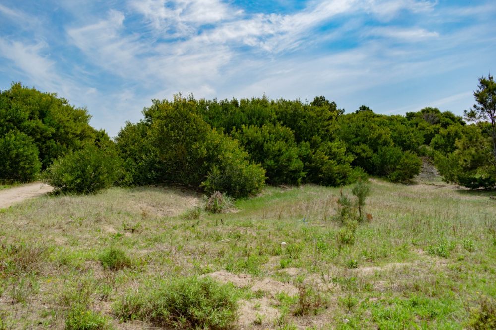 Venta de lote en Colonia Marina - Imagen 4