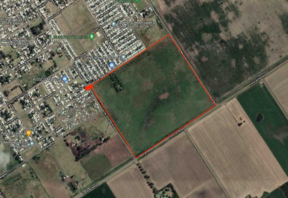 Campo en Venta en Venado Tuerto, · dueño directo · 43 ha - Imagen 3