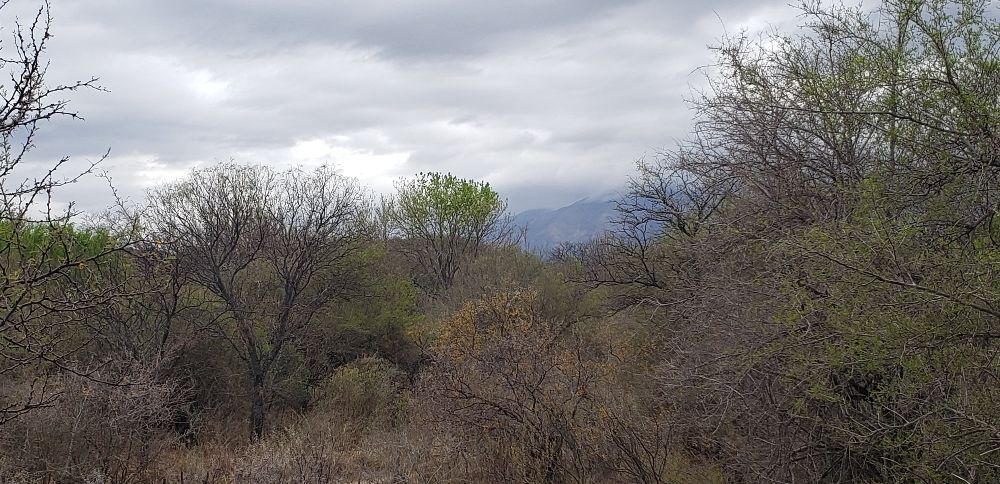 Ruta 14, Villa Las Rosas