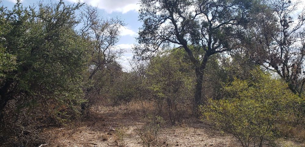 Campo en Venta Ruta 14, Villa Las Rosas - Imagen 6